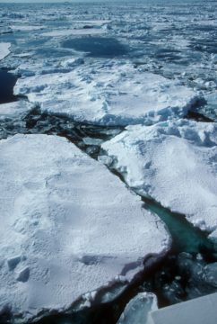 A close up of a snow covered slope.