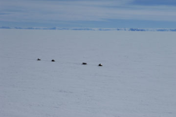 A bird standing on a snow board on a body of water.