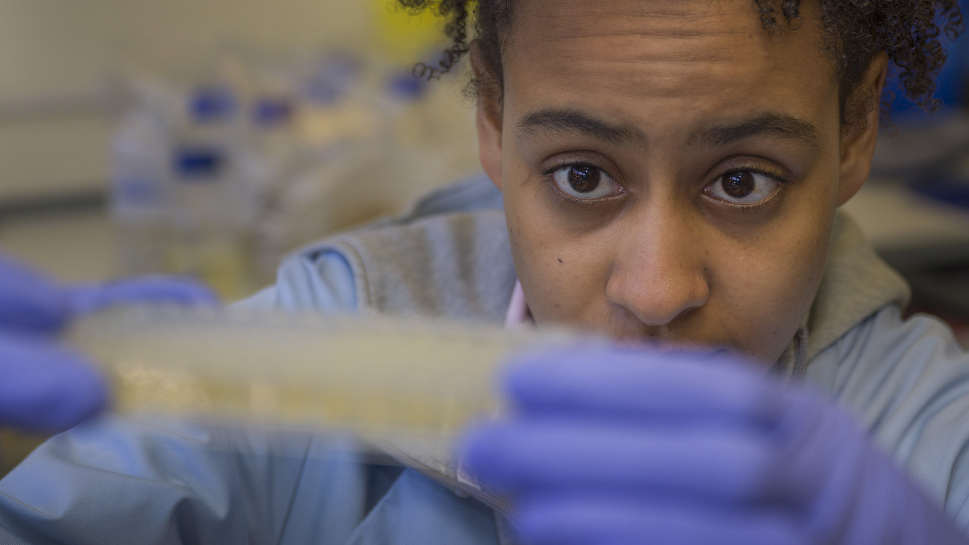 Student working in the laboratories at BAS CAmbridge