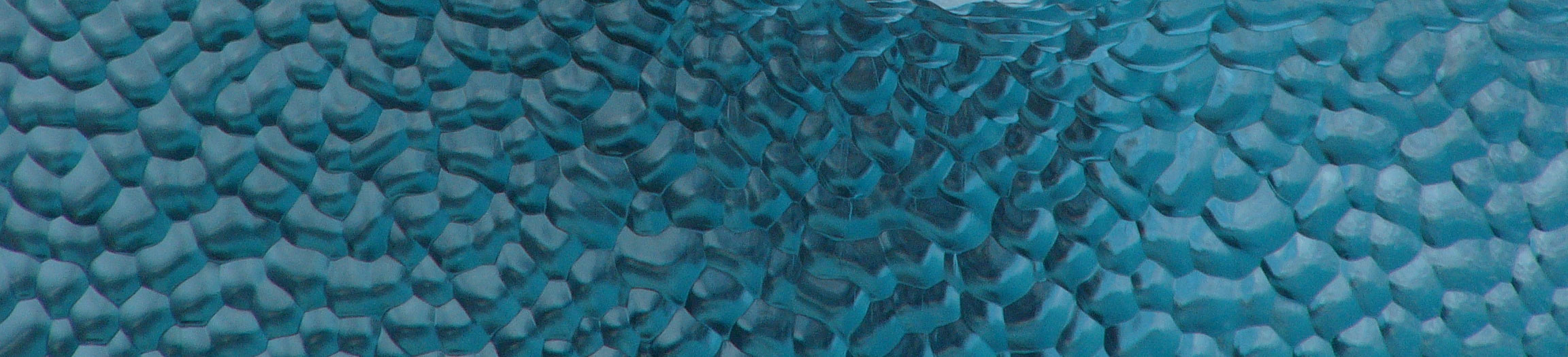 A close up of a fish.