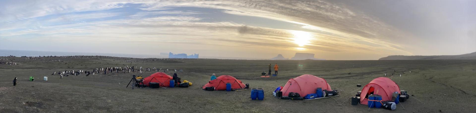 A group of people lying in a tent