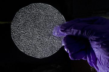 A close up of a purple flower.