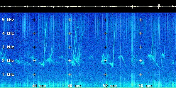 A group of people on a stage