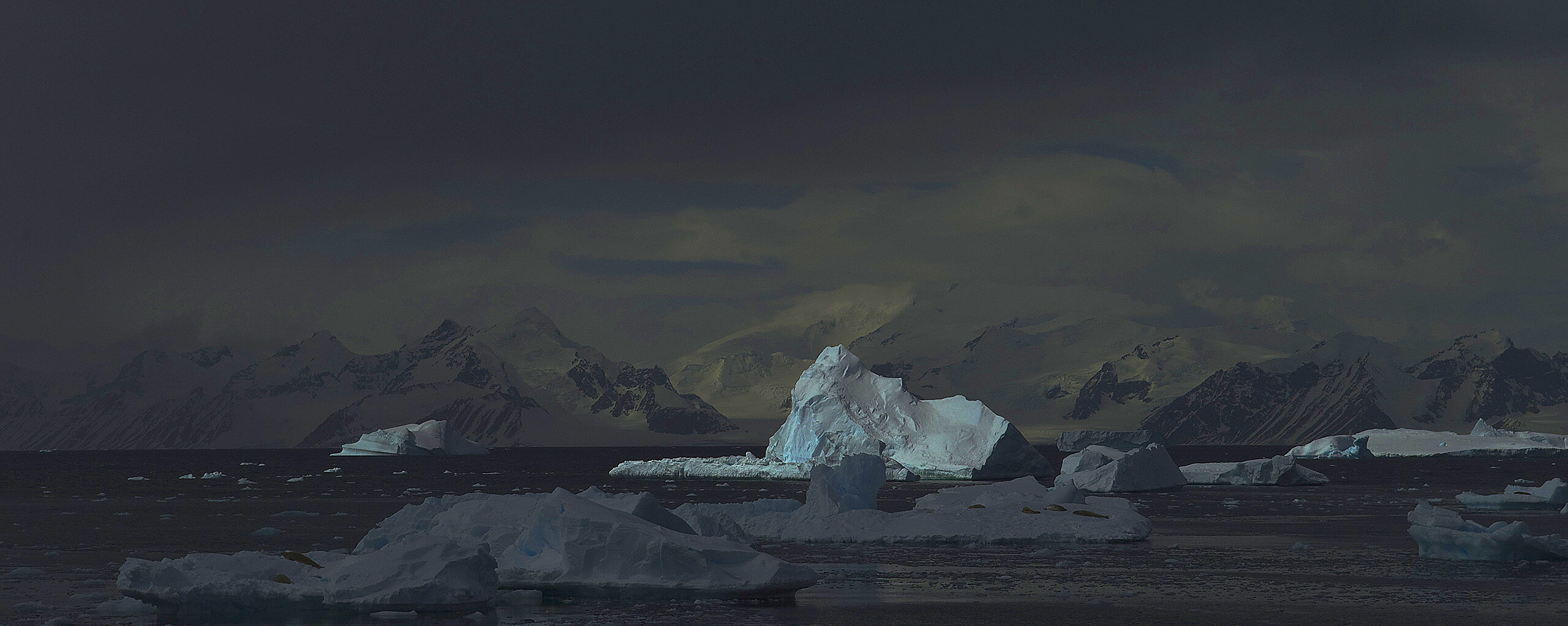 iceberg at North Bay, Rothera Point