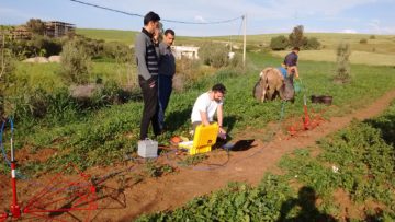 A group of people standing in a garden.