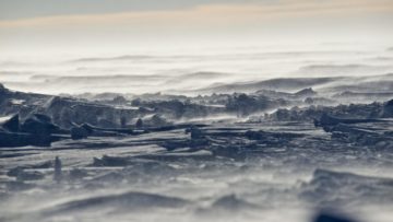 A large body of water.