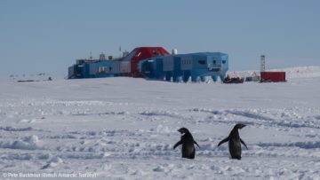 Penguins in a snowy landsscape in front of a research station