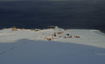 A flock of seagulls standing on a beach near a body of water.