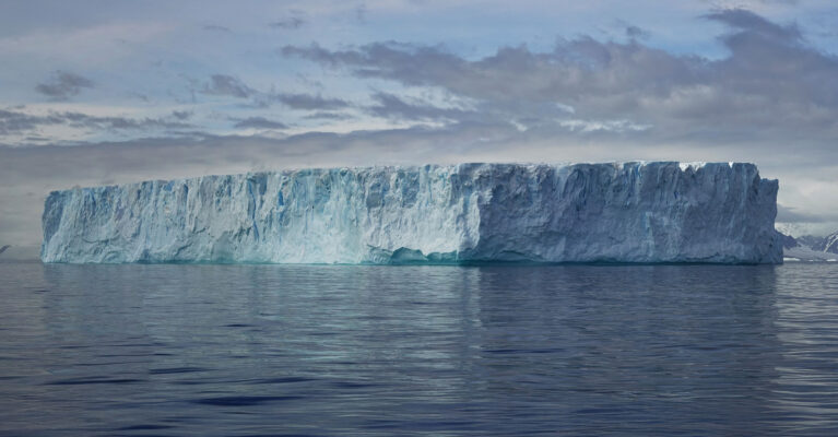 Iceberg in Ryder Bay