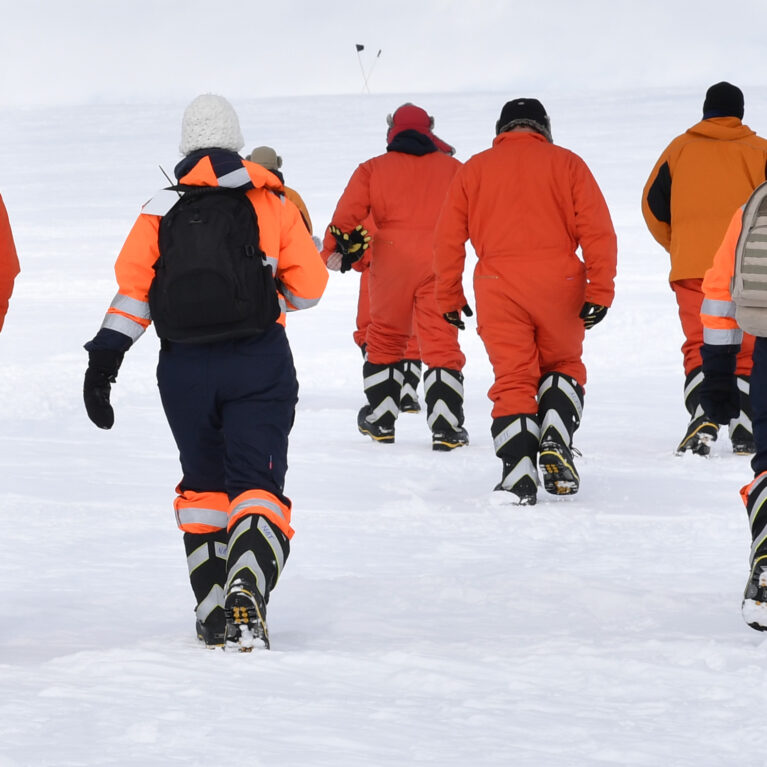 A group of people riding skis on a snowy hill