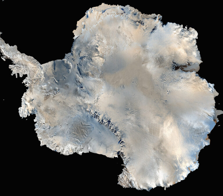 A close up of an animal