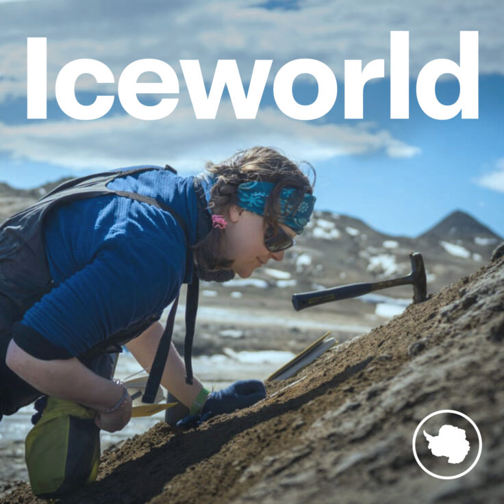 A person sitting on the ground