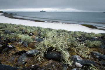 A rocky beach next to a body of water.