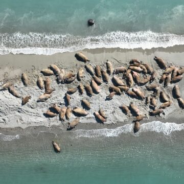 A close up of some water