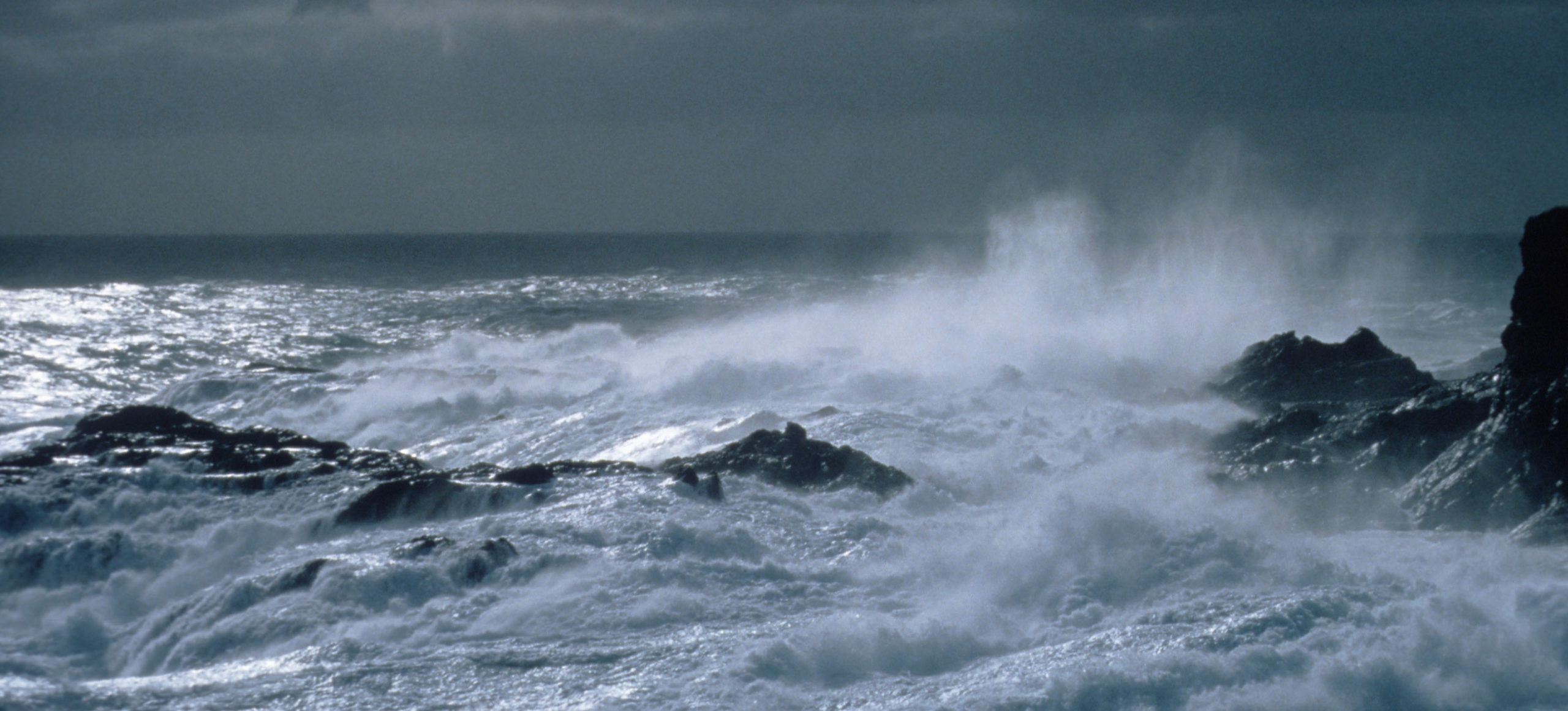 South-westerly gale at Bird Island