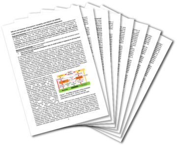 The DRIIVE proposal fanned open to show each page