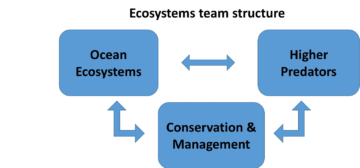 Ecosytems team structure diagram showing each team working with each other