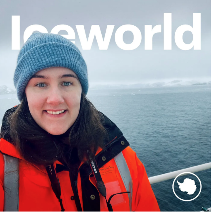 A small boat in a body of water