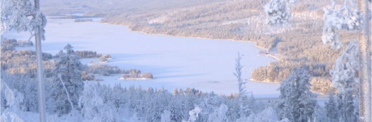 A frozen lake surrounded by forest